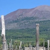 Image 4: Visita guidata Pompei e Vesuvio