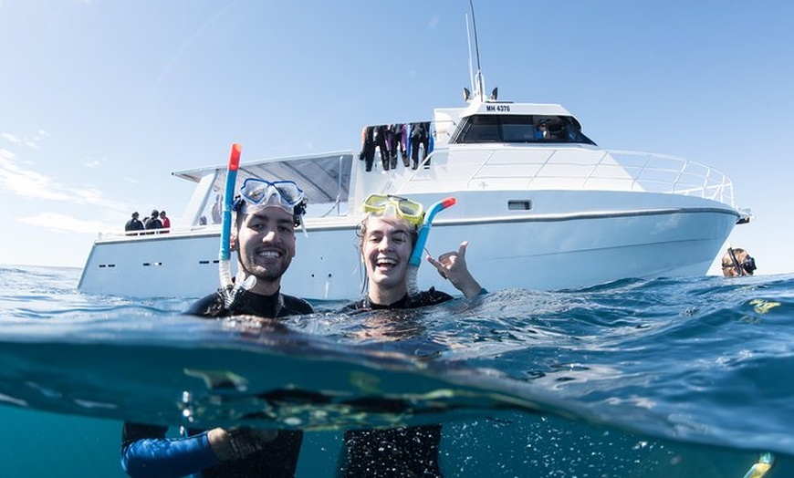 Image 20: Swim with Whale Sharks in the Ningaloo Reef: 3 Island Shark Dive