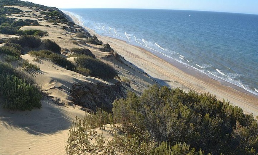 Image 2: Excursión de un día a caballo o en 4x4 en el Parque Nacional de Doñana