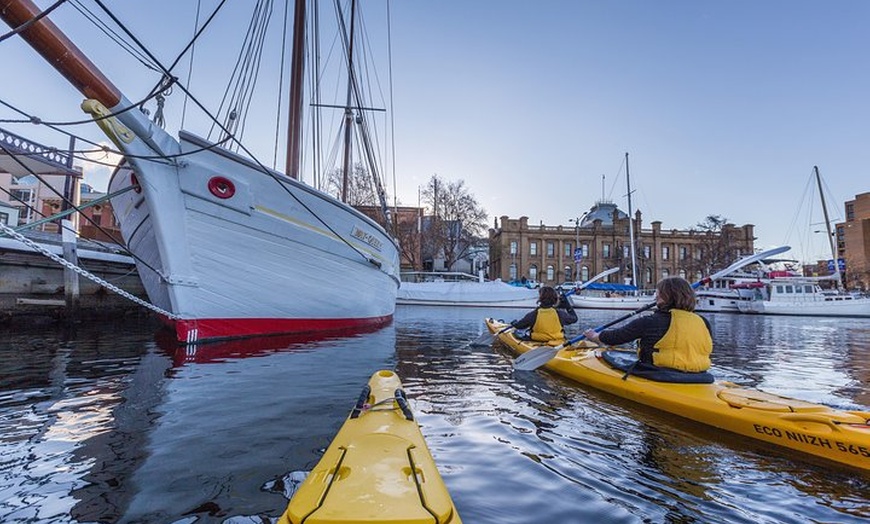 Image 2: Hobart Kayak Tour