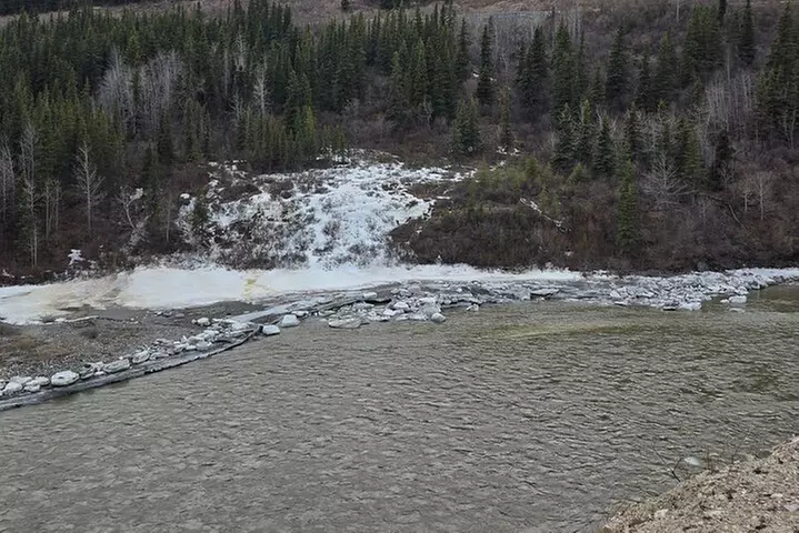 Denali National Park Shuttle