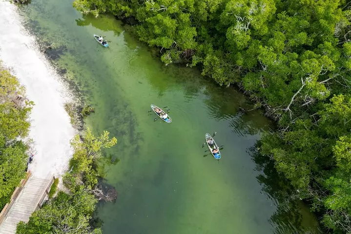 Clear Kayak Ecotour at Robinson Preserve in Bradenton, Florida