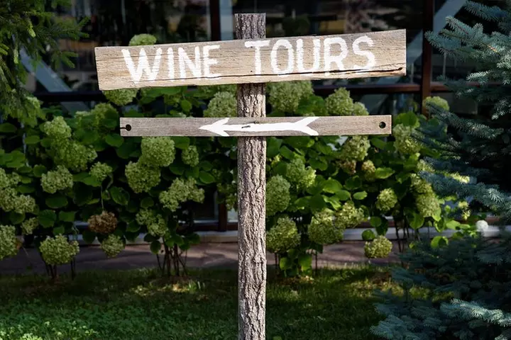 Fraser Valley Social Wine Tasting Private Tour - Primary Image