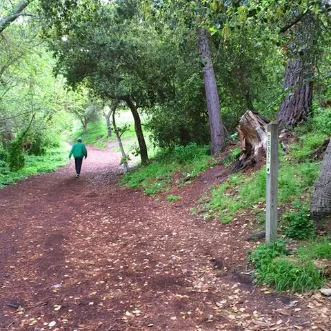 Carmel-by-the-Sea Mission Areas: A Self-Guided Audio Tour