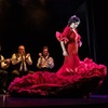 Image 1: Show Flamenco Auténtico en el Teatro Flamenco Granada