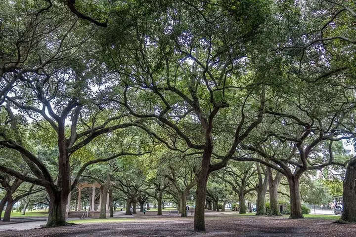Private Historic Horse & Carriage Tour of Charleston