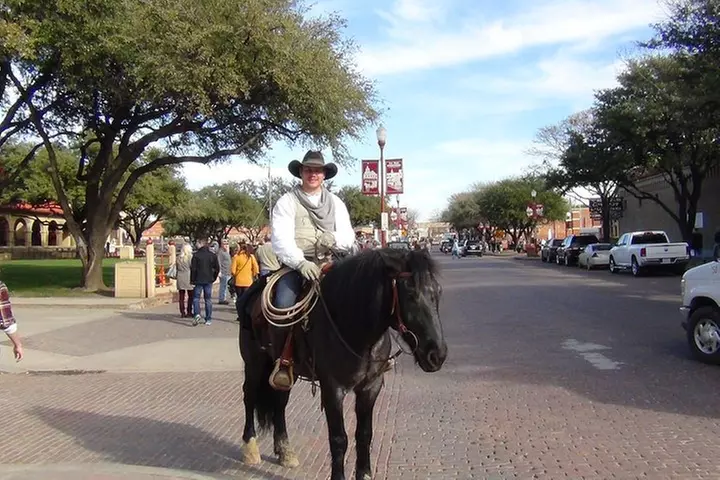 Dallas and Fort Worth City Sightseeing Tour Small-Group
