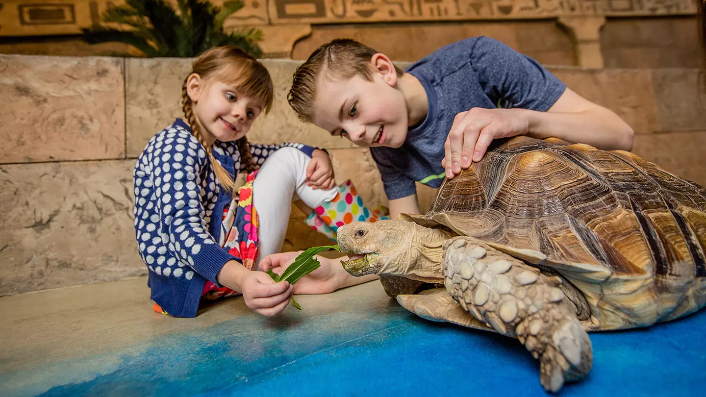 SeaQuest Utah - Available Any Date Through December 31, 2022 - Primary Image