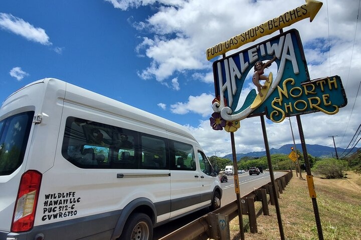 Round Trip North Shore Shuttle from Waikiki to Haleiwa Town / Halei...