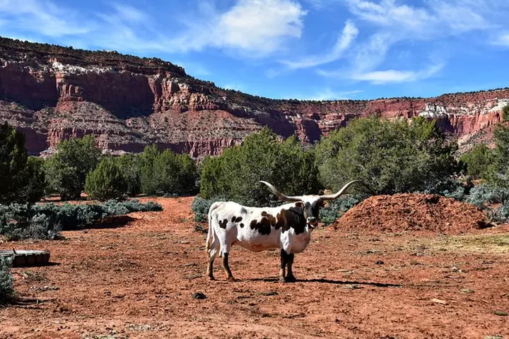 Campfire S'mores and Stars Tour in Kanab