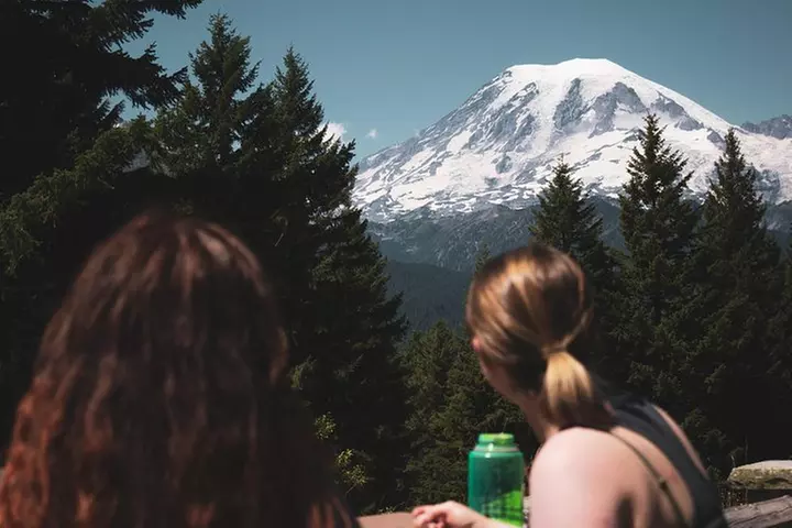 Best of Mount Rainier National Park from Seattle: All-Inclusive Sma...