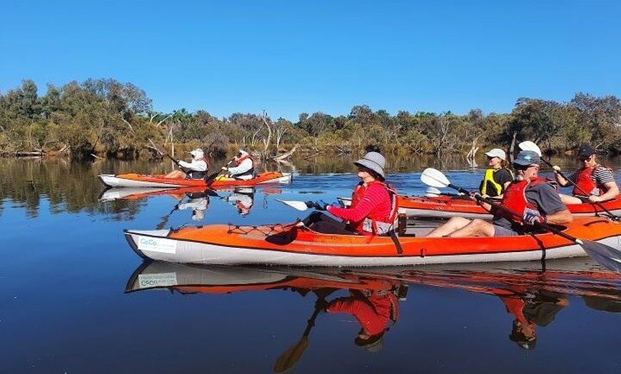 Image 6: Perth Kayak Tour - Canning River Wetlands