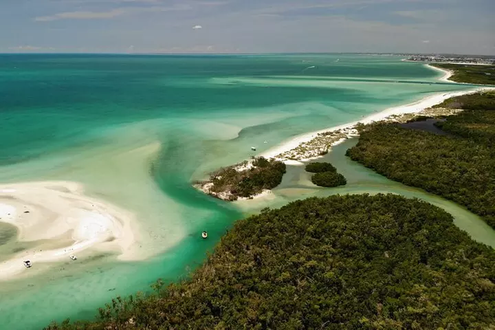 Guided Dolphin Eco Tour by Kayak & SUP - Fort Myers Beach, FL