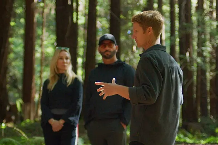 Redwoods Forest Bathing