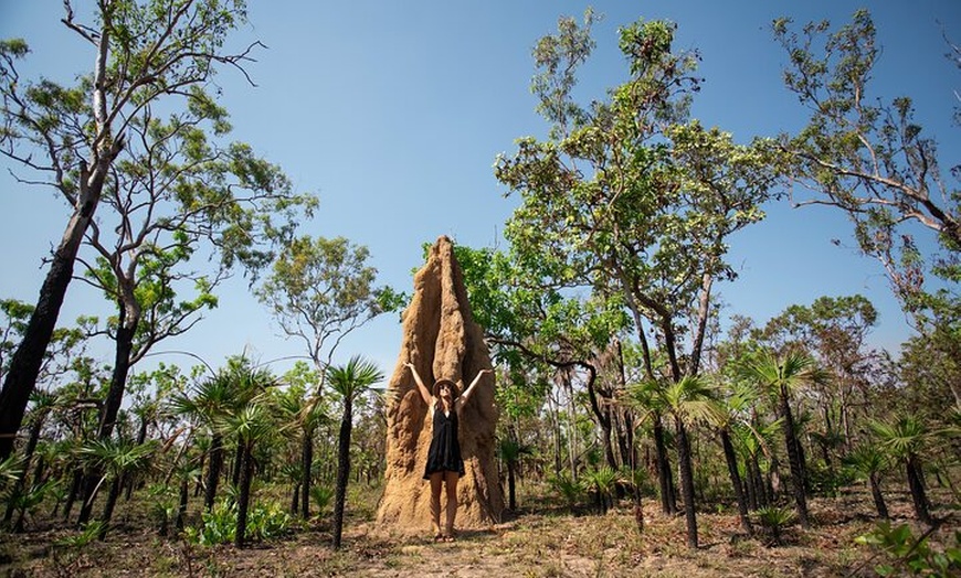 Image 2: Litchfield National Park Tour with Wetlands or Crocodile Cruise