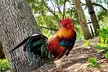 Tampa Walking Food Tour with Secret Food Tours - Second Medium