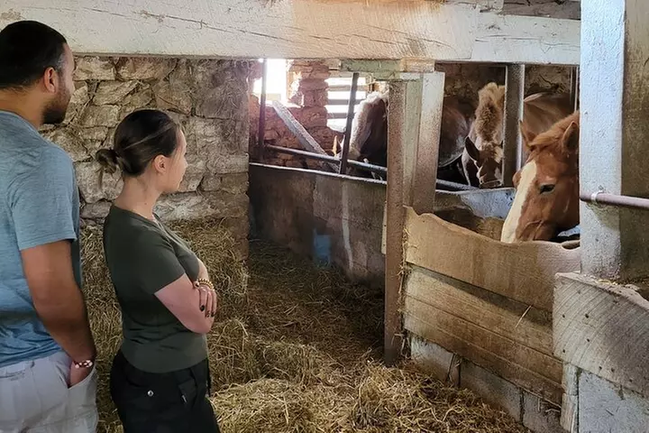 Unique Amish Immersion in Lancaster