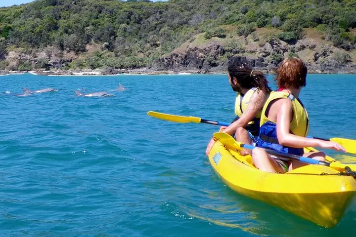 Rainbow Beach: Dolphin & Wildlife Ocean Kayak & Beach 4WD Tour