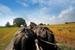 Philadelphia and Amish Country, 1-Day Tour from NYC - Second Medium