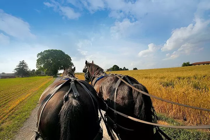 Philadelphia and Amish Country, 1-Day Tour from NYC