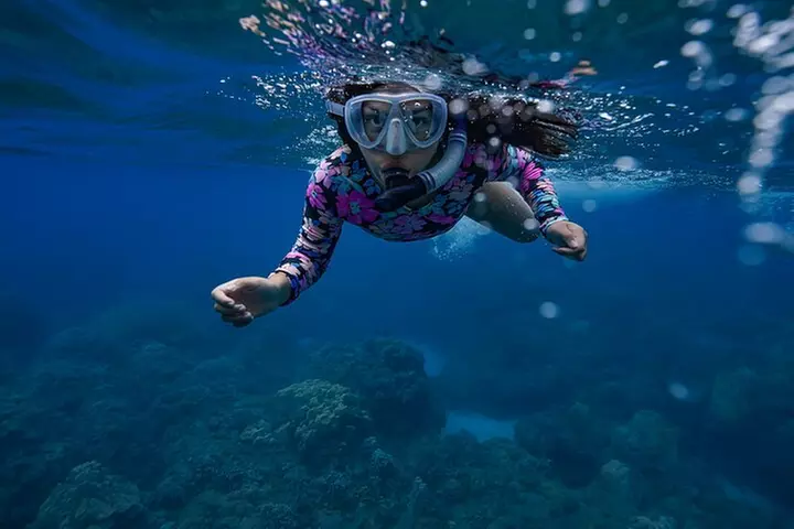 Turtle Town Snorkel & Octopus Guided tour With Photo and Video