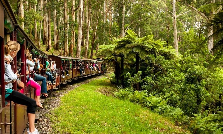 Image 3: Private Puffing Billy Steam Train and Healesville Sanctuary Tours