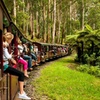 Image 3: Private Puffing Billy Steam Train and Healesville Sanctuary Tours
