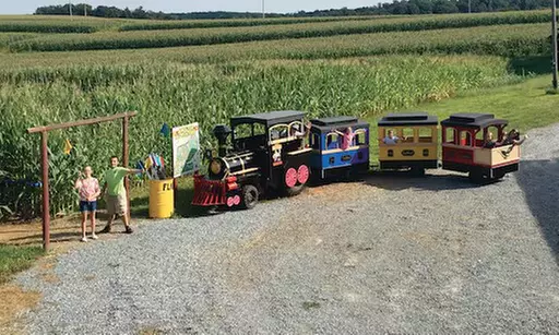 $48 For 4 Admissions To Maize Quest Corn Maze & Fun Park Ultimate A...