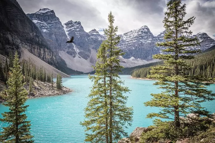 Athabasca - Experience the Moraine, Louise & Peyto Lakes (3-Days) - Primary Image