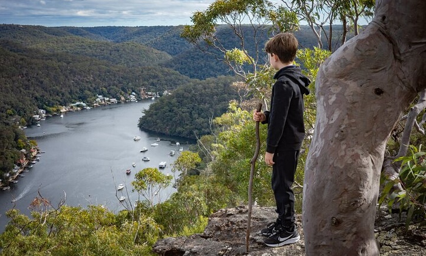 Image 10: Quad Biking, Koalas and Kangaroos - Private Tour