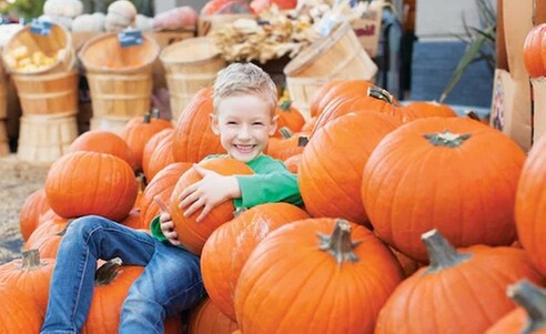 $42 For 4 Farmers Fare Admission Plus One Basket Of Farm Fresh Frie...