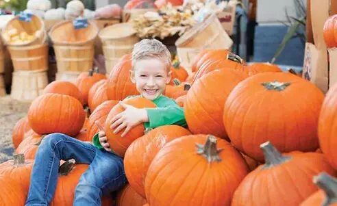 $42 For 4 Farmers Fare Admission Plus One Basket Of Farm Fresh Frie...
