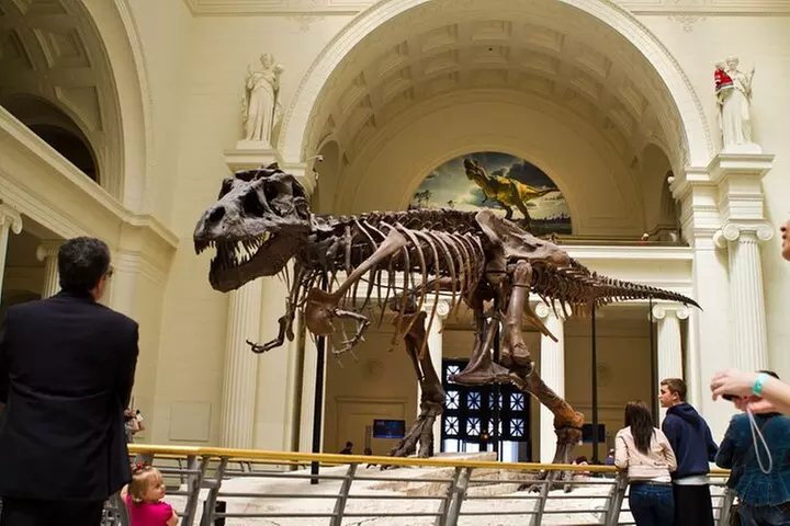 Chicago : The Field Museum Skip the Line 2H Guided Tour - Second Medium