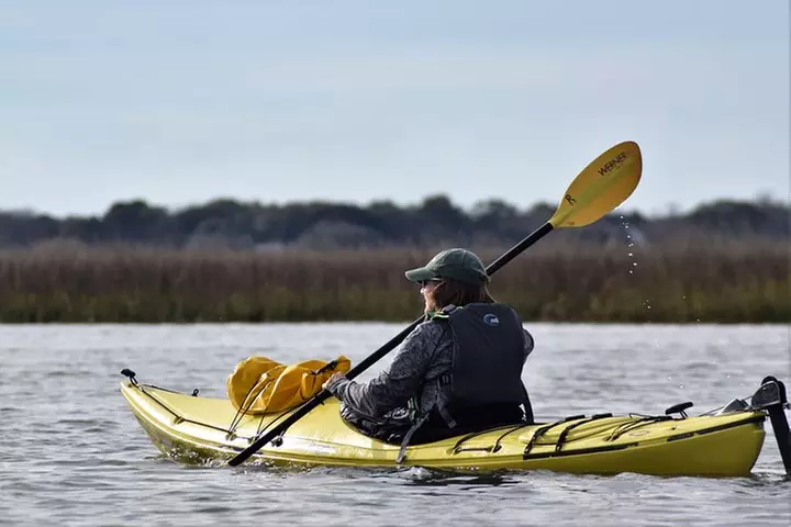 2-Hour Guided Kayak Eco Tour in Charleston