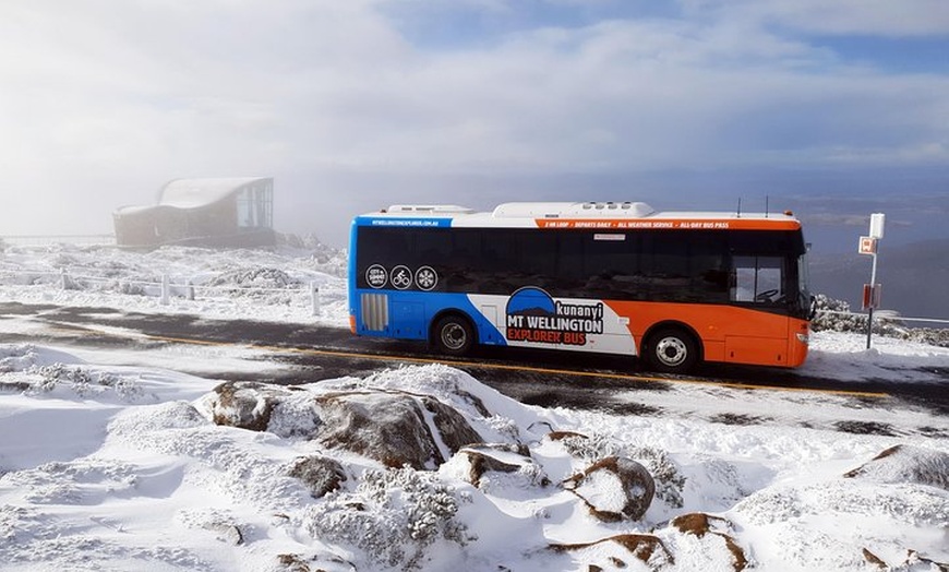 Image 5: kunanyi/Mt Wellington Tour & Hobart Hop-On Hop-Off Bus