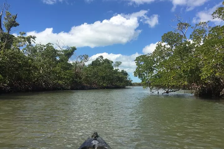 Marco Island Mangrove Tunnel and Maze Adventure Small group size