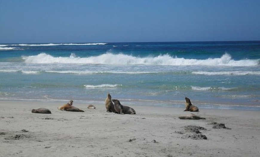Image 3: Kangaroo Island in a Day Tour from Adelaide