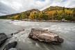 Denali Photo Excursion - Second Medium