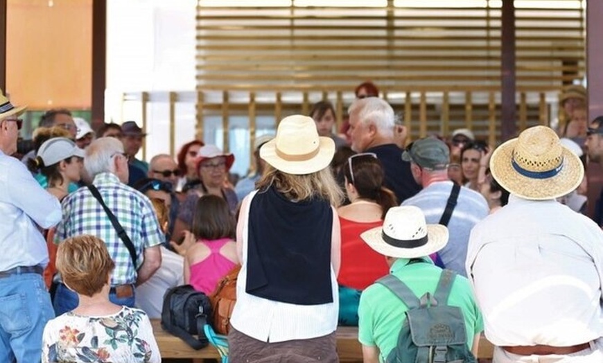 Image 13: Inmersión Holística en la Reserva de la Biosfera de les Terres de l...