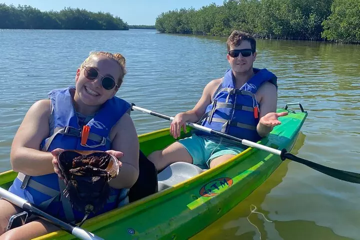 Manatee and Dolphin Kayak Tour