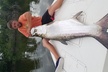 Light Tackle Tarpon & Snook Fishing Charter - Second Medium