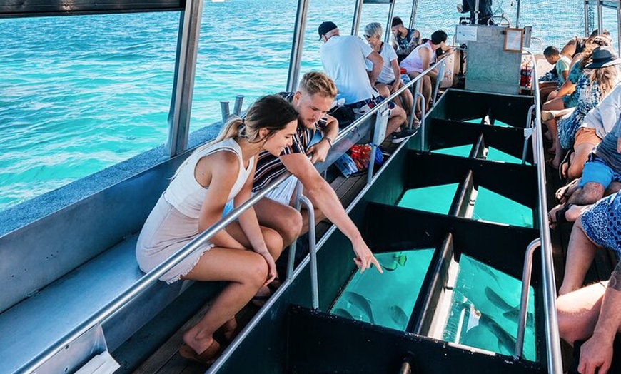 Image 2: Snorkelling and Glass Bottom Boat at Green Island from Cairns