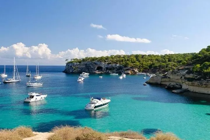 Excursión de día completo a las cuevas de Mallorca : Drach, Hams & ...