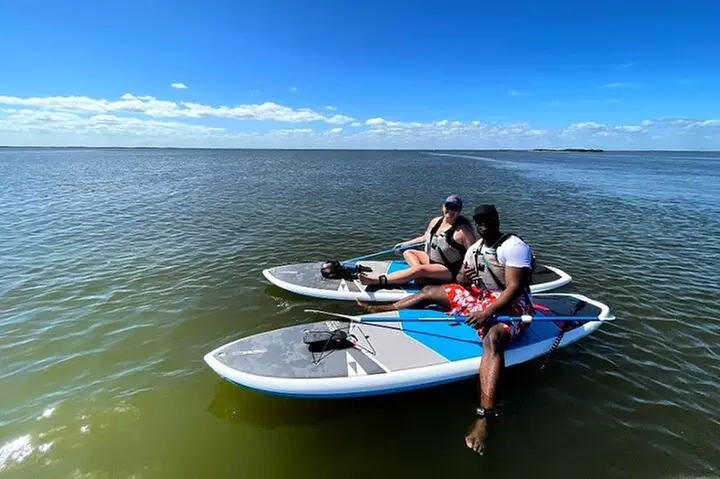 Wildlife Refuge Manatee, Dolphin & Mangrove Kayak or Paddleboarding...