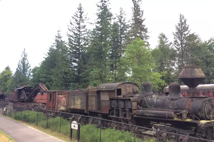 Guided forest hike to Seattle waterfalls incl. Snoqualmie Falls