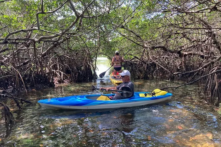 Half Day Kayak Rental to John's Pass Sandbar & Mangrove Tunnel