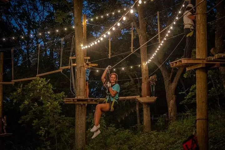 Glow in the Park TreeTrails - Second Medium