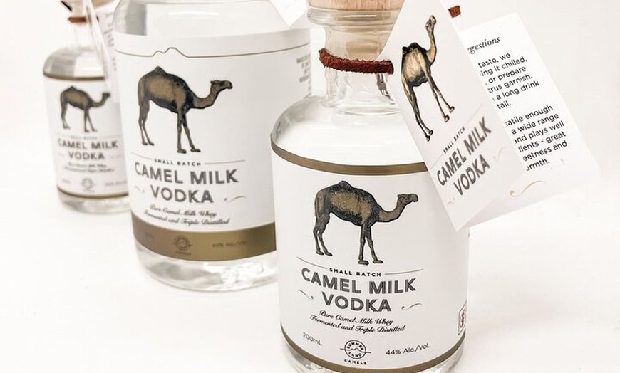 Image 6: Camel Farm Tour and Taste