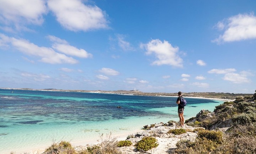 Image 4: Experience Rottnest with Ferry & Bike Hire