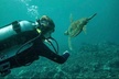 Introductory Beach Scuba Dive - Second Medium